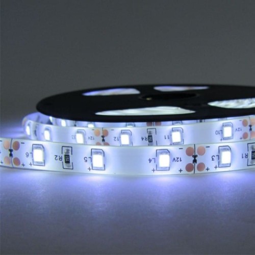 Taśma LED 300 4.8W/m 6500K 200lm/m 12V IP20 /5m/